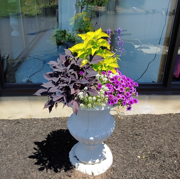 Meet your Posher, Cheryl - Picture 1 of 1